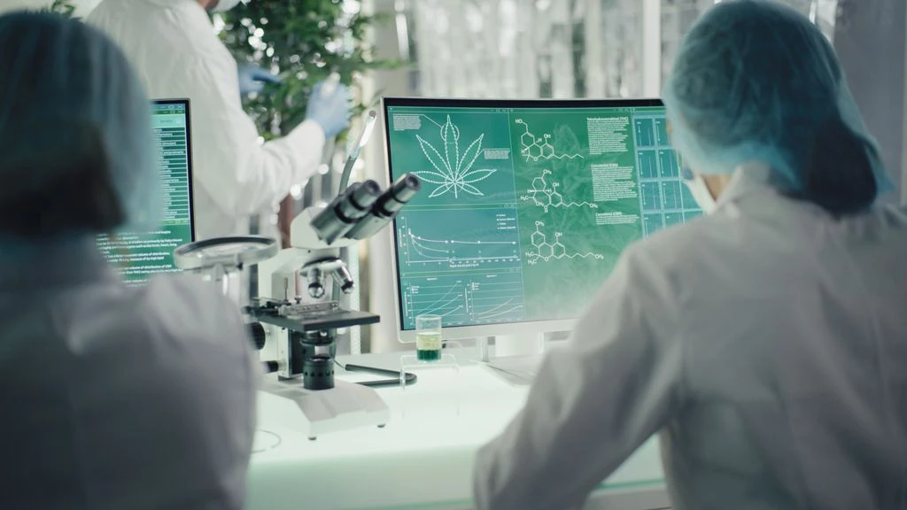 Kisspeptin | Shaanxi BLOOM Tech Co., Ltd Kisspeptin | Shaanxi BLOOM Tech Co., Ltd