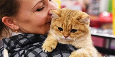 GS-441524 Buy | Shaanxi BLOOM Tech Co., Ltd GS-441524 Buy | Shaanxi BLOOM Tech Co., Ltd