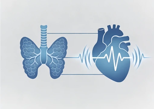 SLU-PP-332 boosting | Shaanxi BLOOM Tech Co., Ltd SLU-PP-332 boosting | Shaanxi BLOOM Tech Co., Ltd
