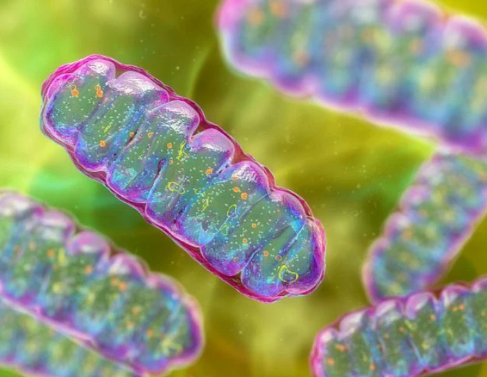 SLU-PP-332 Supply | Shaanxi BLOOM Tech Co., Ltd SLU-PP-332 Supply | Shaanxi BLOOM Tech Co., Ltd